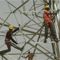 765 kV S/C Fatehpur-Agra Transmission Line (Tower under constuction)
